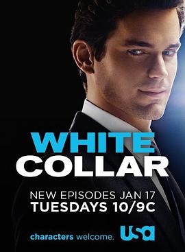 丝瓜视频《妙警贼探 第三季 White Collar Season 3》免费在线观看