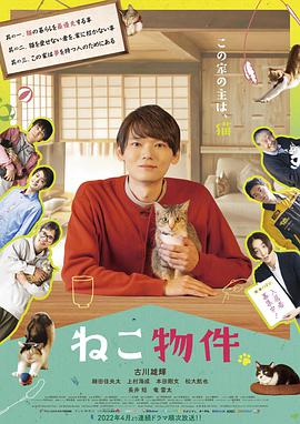 电视剧《猫物件》4k免费在线观看