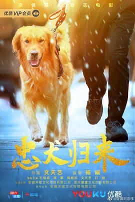 丝瓜视频《忠犬归来》免费在线观看