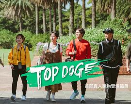 丝瓜视频《TOP DOG》免费在线观看