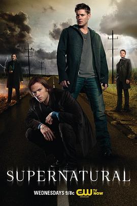 丝瓜视频《邪恶力量 第八季 Supernatural Season 8》免费在线观看