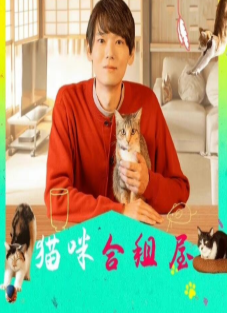 丝瓜视频《猫咪合租屋》免费在线观看