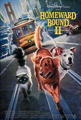 丝瓜视频《看狗在说话之旧金山历险记 Homeward Bound II: Lost in San Francisco》免费在线观看