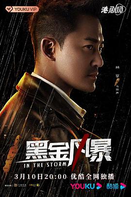 丝瓜视频《黑金风暴 粤语版》免费在线观看