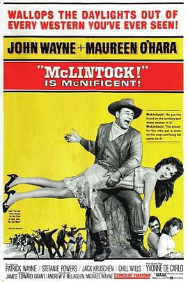 丝瓜视频《铁汉雌虎 McLintock!》免费在线观看