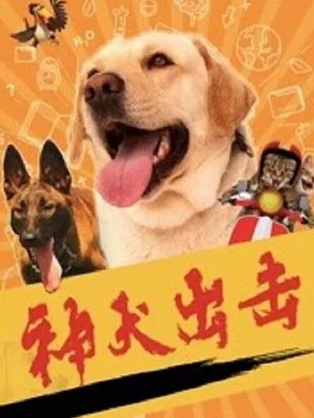 电影《神犬出击》HD在线免费观看