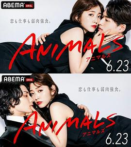 电视剧《ANIMALS 归国篇》1080p在线免费观看