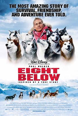 丝瓜视频《南极大冒险 Eight Below》免费在线观看