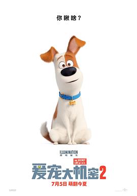 丝瓜视频《爱宠大机密2 The Secret Life of Pets 2》免费在线观看