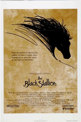 丝瓜视频《黑神驹 The Black Stallion》免费在线观看