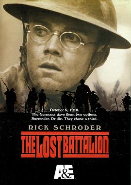 丝瓜视频《幻影奇兵 The Lost Battalion》免费在线观看