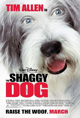 丝瓜视频《长毛狗 The Shaggy Dog》免费在线观看