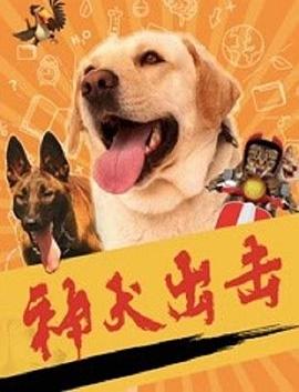 丝瓜视频《神犬出击》免费在线观看