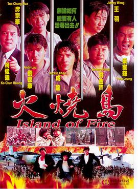 丝瓜视频《火烧岛1991》免费在线观看