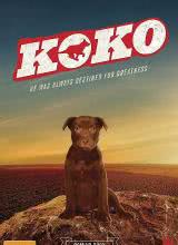 丝瓜视频《Koko:红犬历险记》免费在线观看