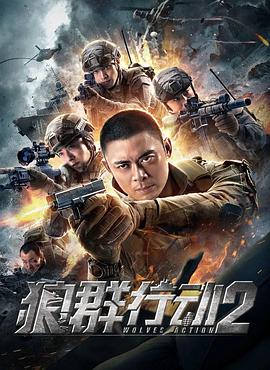 丝瓜视频《狼群行动2》免费在线观看