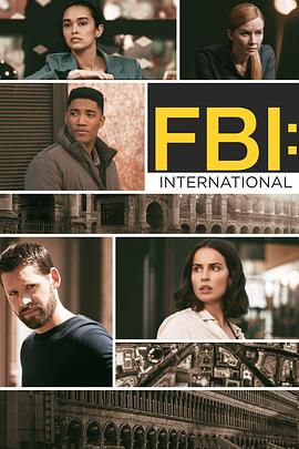 丝瓜视频《联邦调查局：国际 第三季 FBI: International Season 3 Season 3》免费在线观看