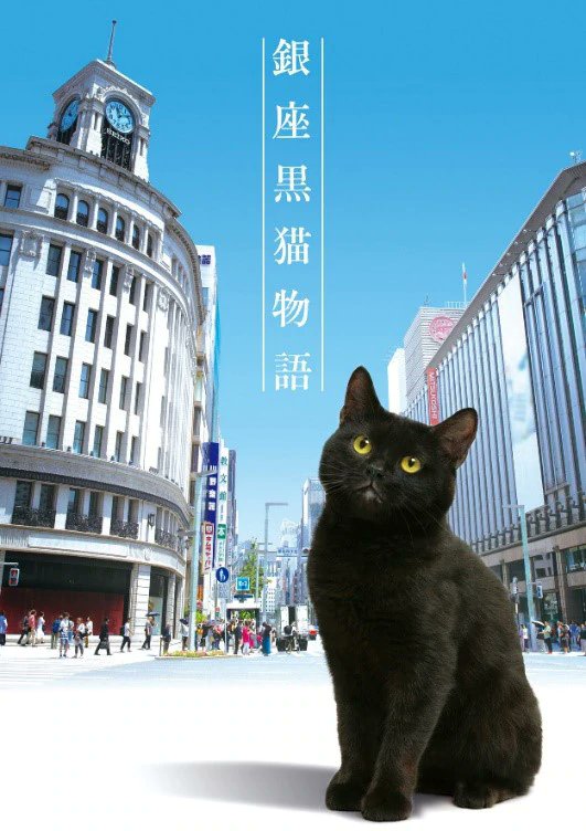 丝瓜视频《银座黑猫物语》免费在线观看