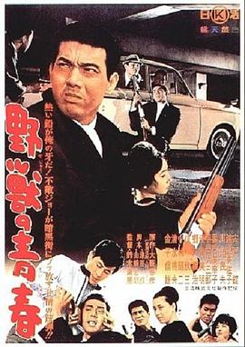 丝瓜视频《野兽的青春 野獣の青春》免费在线观看