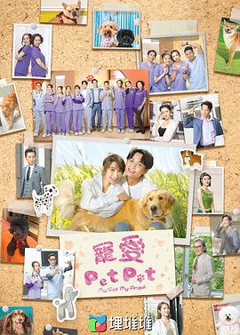 电视剧《宠爱Pet Pet国语》1080p免费在线观看